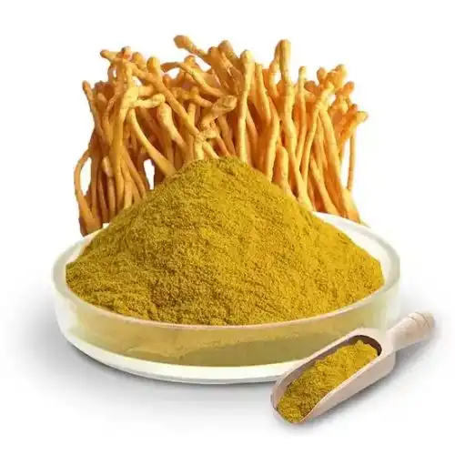 Cordyceps Militaris for Brain Health: What You Need to Know?